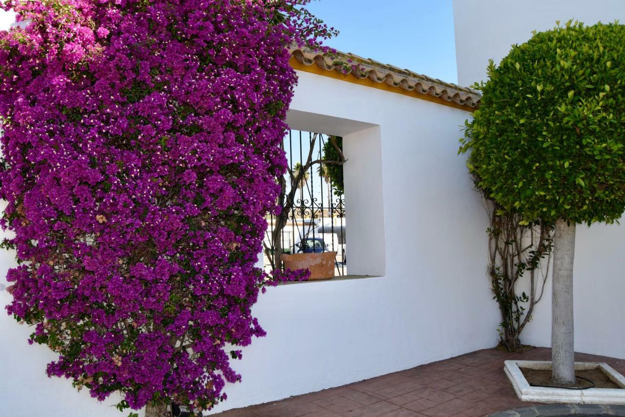 Puerta De Algadir